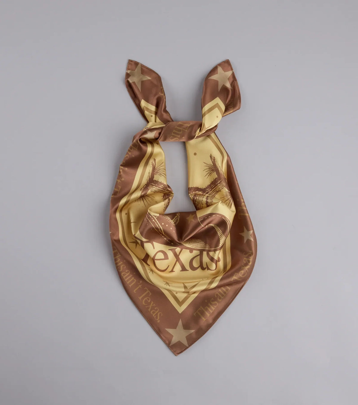 This Ain't Texas Satin Scarf