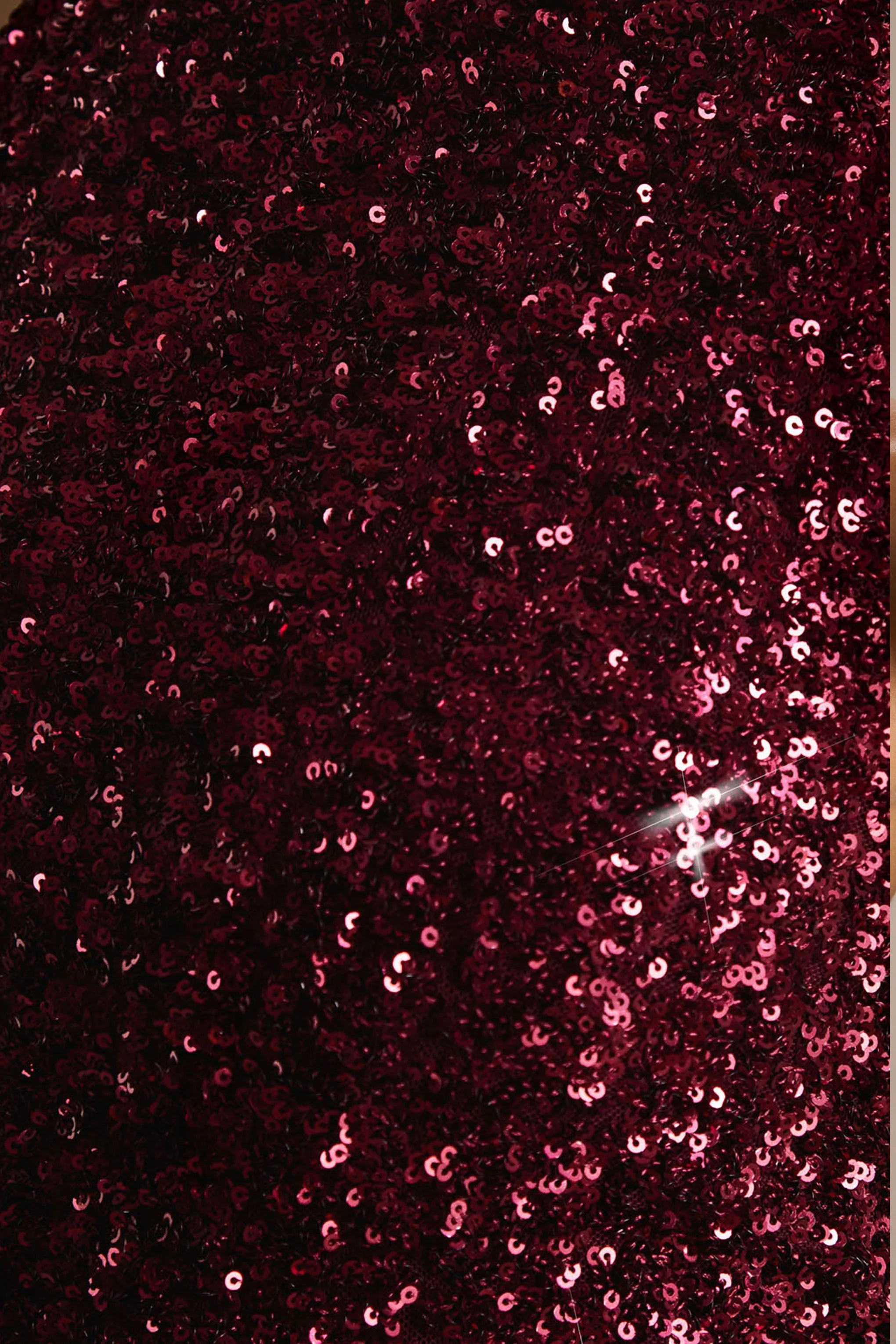 Tulia | Burgundy Sequin High-Neck Maxi Dress