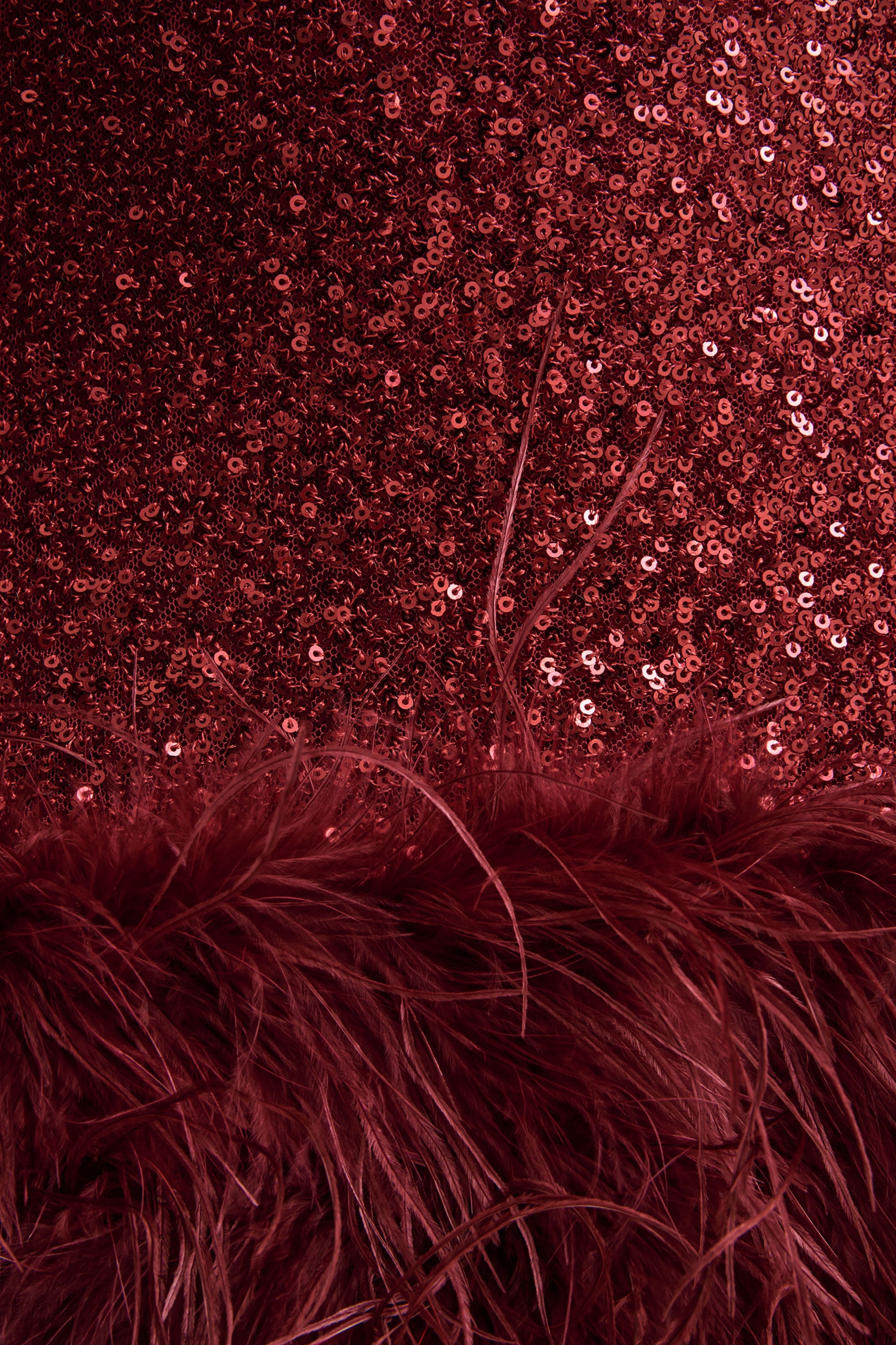 Rosalinda | Burgundy Sequin Square-Neck Mini Dress With Feather Trim